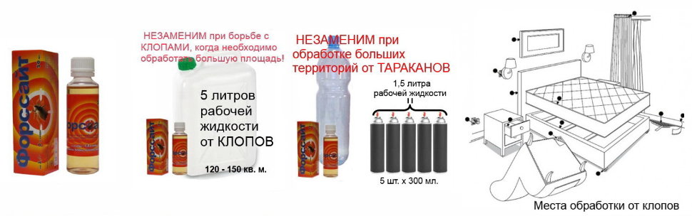 Купить средство от клопов форсайт