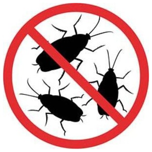 араканы — наиболее неприятные "жильцы" в любом доме, от которых все стремятся избавиться